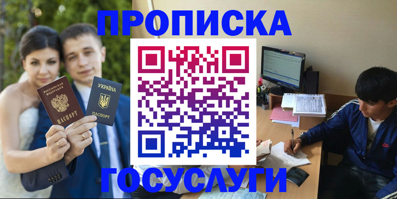 временная регистрация в Тереке